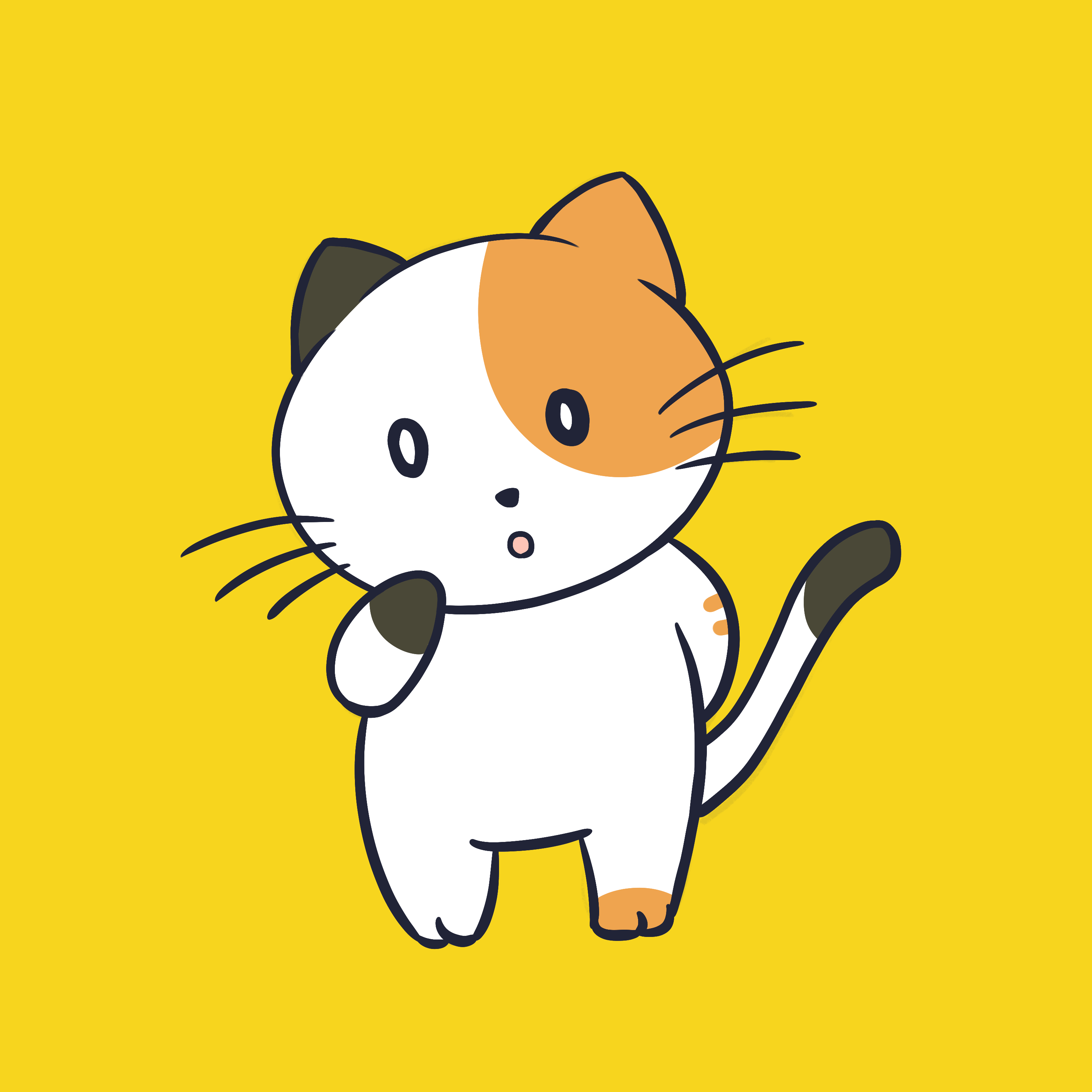 猫画像1